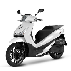 HD 300i
