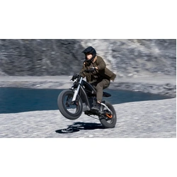 Segway-Ninebot eBike Xyber
