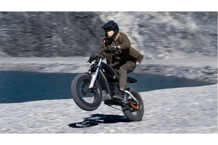 Segway-Ninebot eBike Xyber